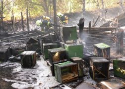 Brand Pennickental Jena 00024